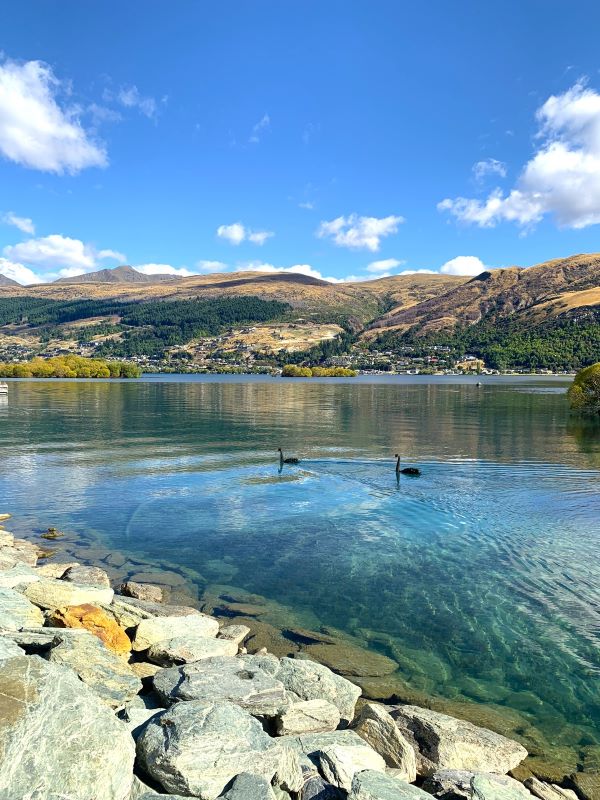 Captivating view of Lake Wakatipu from Kelvin Heights, Queenstown.